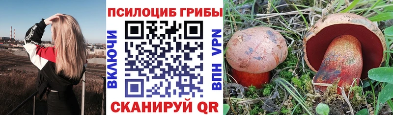 Галлюциногенные грибы Cubensis  Купить  Истра 