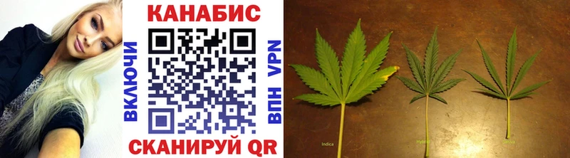 Конопля OG Kush  Купить  Истра 